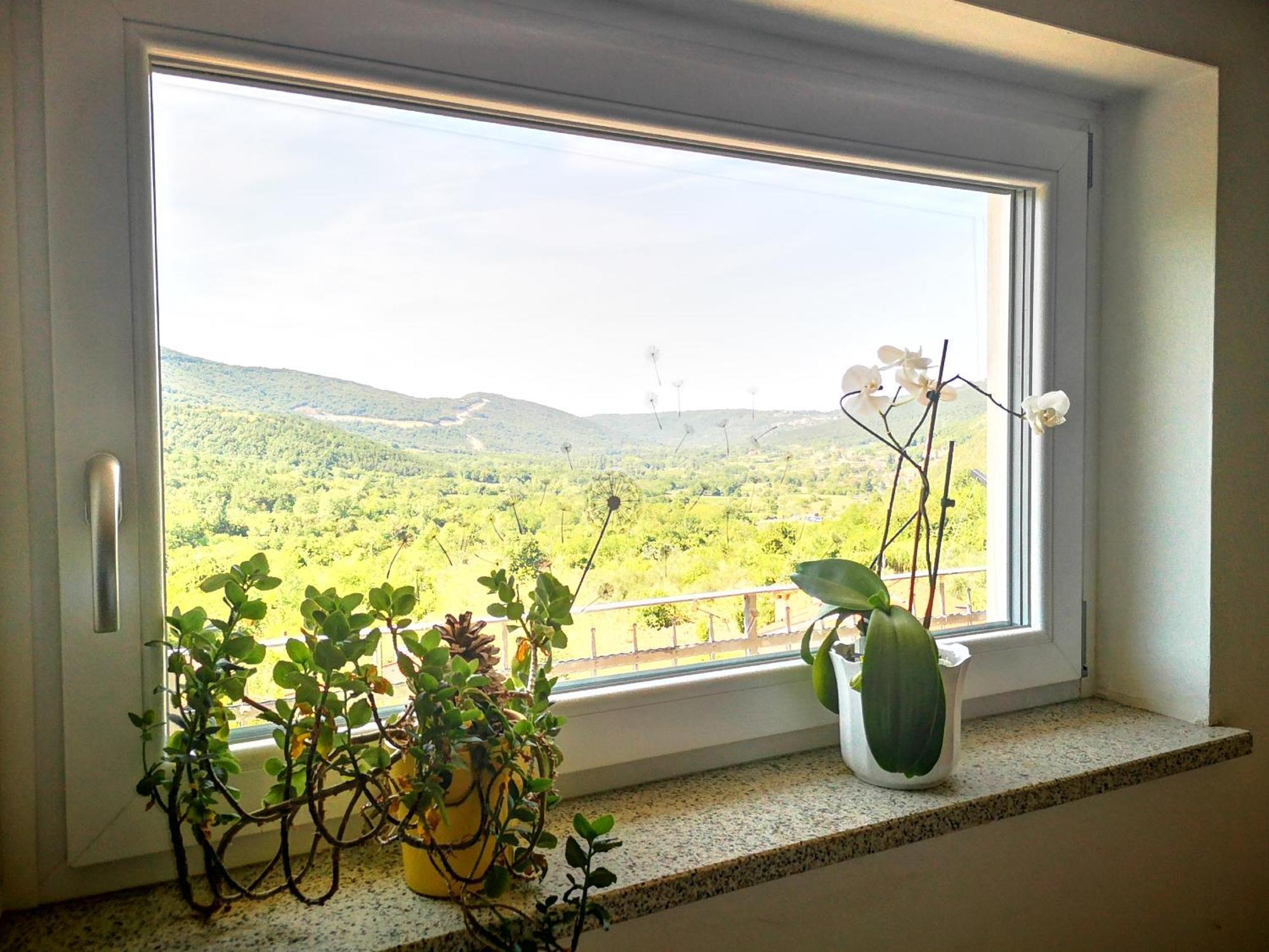 Apartma Ceh Gabrovica pri Črnem Kalu Buitenkant foto